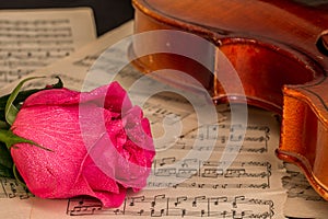 A violin, red rose and sheet music.