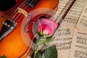 A violin, red rose and sheet music