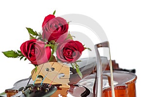 Violin and red roses