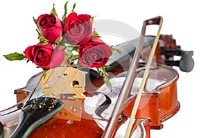 Violin and red roses