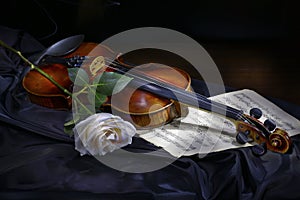 Violin with rose