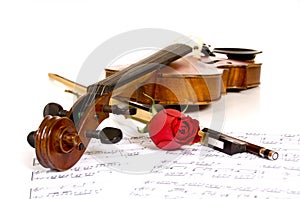 Violin, rose and music