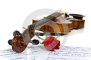 Violin, rose and sheet music photo
