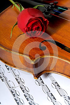 Violin, rose and sheet music