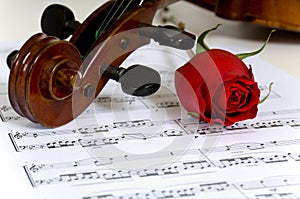 Violin, rose and sheet music