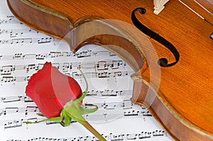 Violin, Rose and sheet music