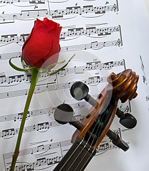Violin, Rose and sheet music