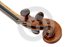 Violin Scroll