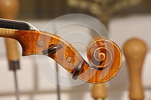 Violin scroll, head details with pegs.