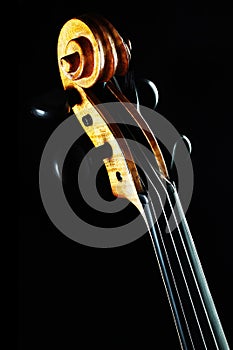 Violin scroll neck