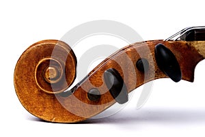 Violin scroll and pegbox photo
