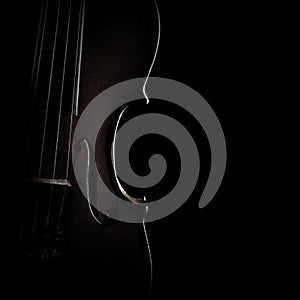 Violin silhouette strings closeup