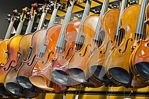 Handmade violins in the store