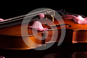 The violin is stringed musical instrument, and rose petals on top, isolated on black