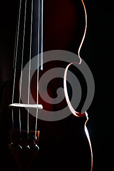 Violin strings