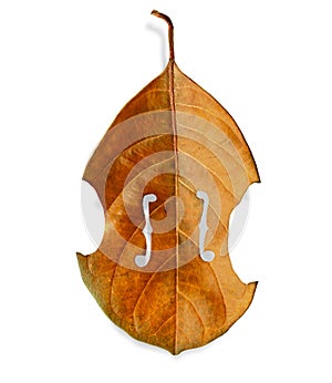 Violin tree leaf