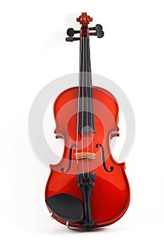 Violin upright on white backgr