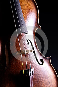 Violin Viola Isolated On black