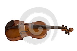 Violin on the white background