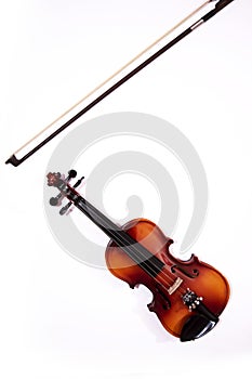 Violin  on white background