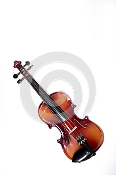 Violin  on white background