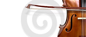 Violin on a white background