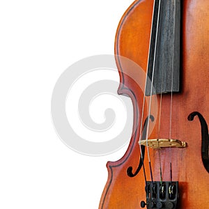 Violin white background
