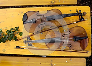 Violin, a wooden string instrument