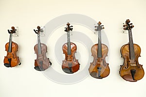 Violins photo