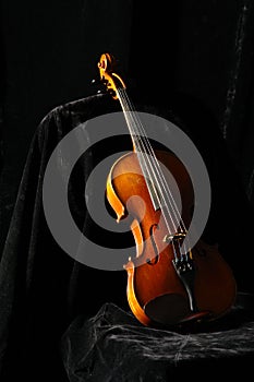 Violine