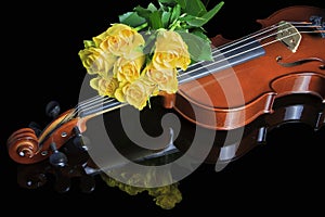 Violine and roses