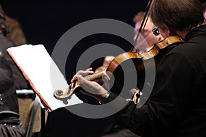 Violinist at the concert photo
