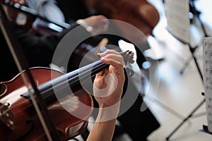 Violinists photo