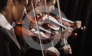 Violinists at concert