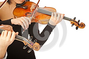 Violinists no face isolated