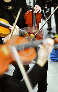 Violinists at an orchestra recital or concert