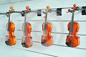 Violins