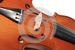 Violins photo