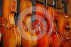 Violins photo