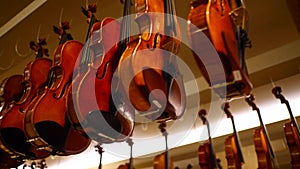 Violins display in music shop