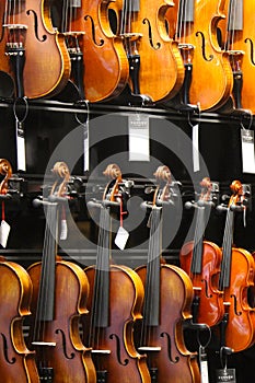 Violins in the music instruments market