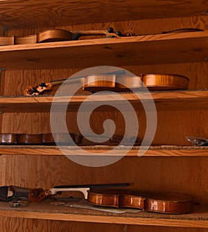 Violins on shelves