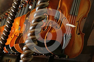 Violins in a shop of a violin maker