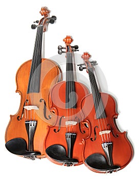 Violins trio photo