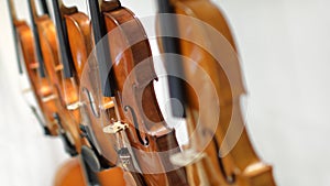 Violins on white background