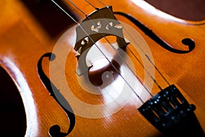 Violoncello