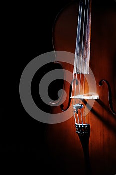 Violoncello cello photo