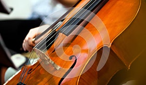 Violoncello