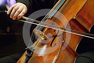 Violoncello musician.