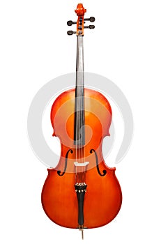Violoncello standing on the white background
